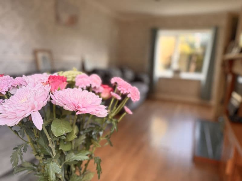 Property 8